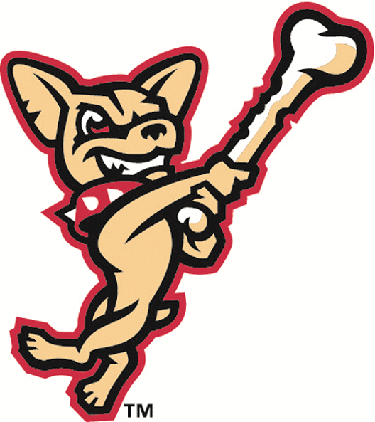 El Paso Chihuahuas 2014-Pres Alternate Logo v2 iron on transfers for T-shirts